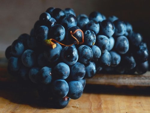 Vincent Girardin Wine Dinner in db Bistro & Oyster Bar
