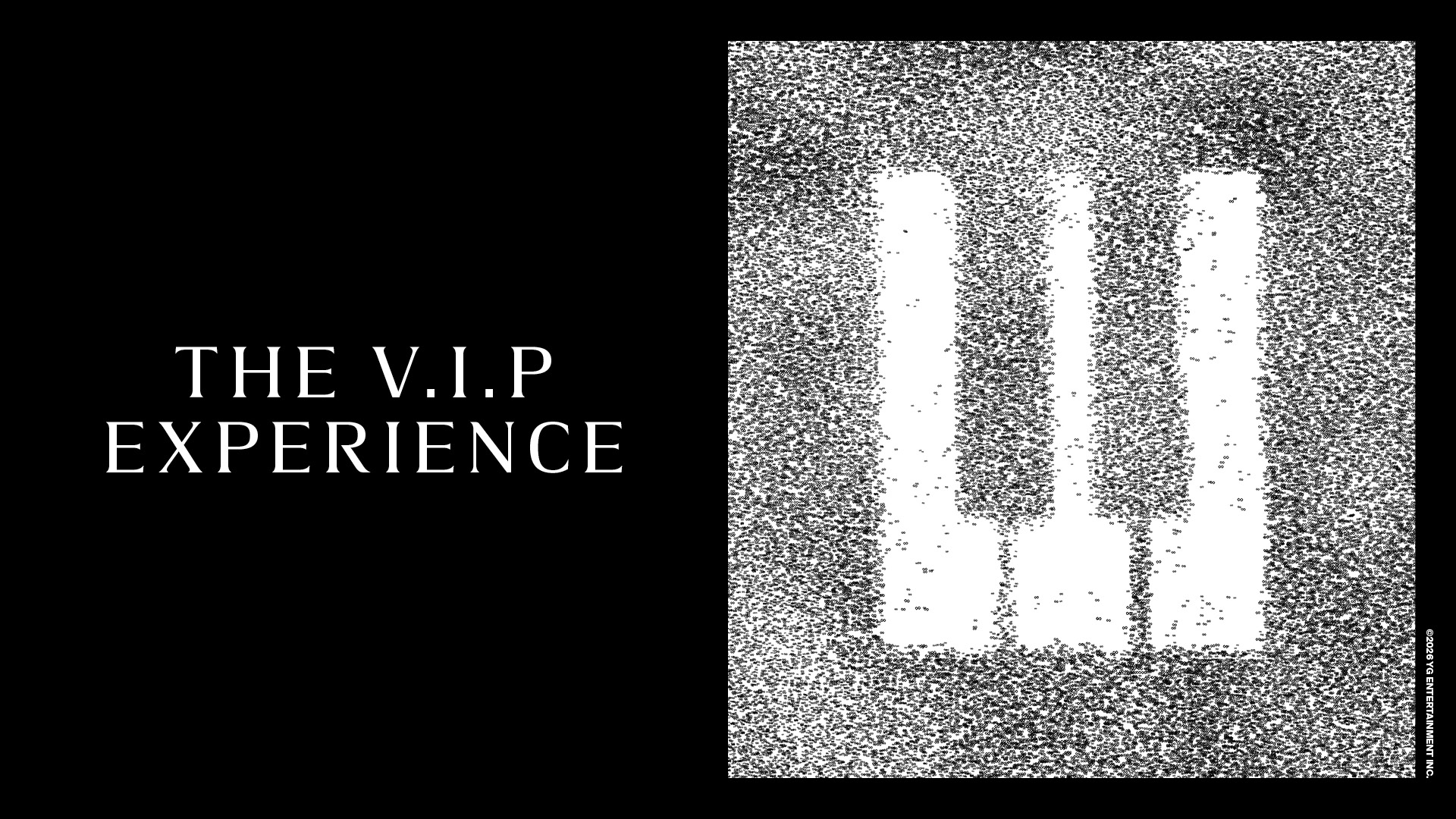 V.I.Pエクスペリエンス