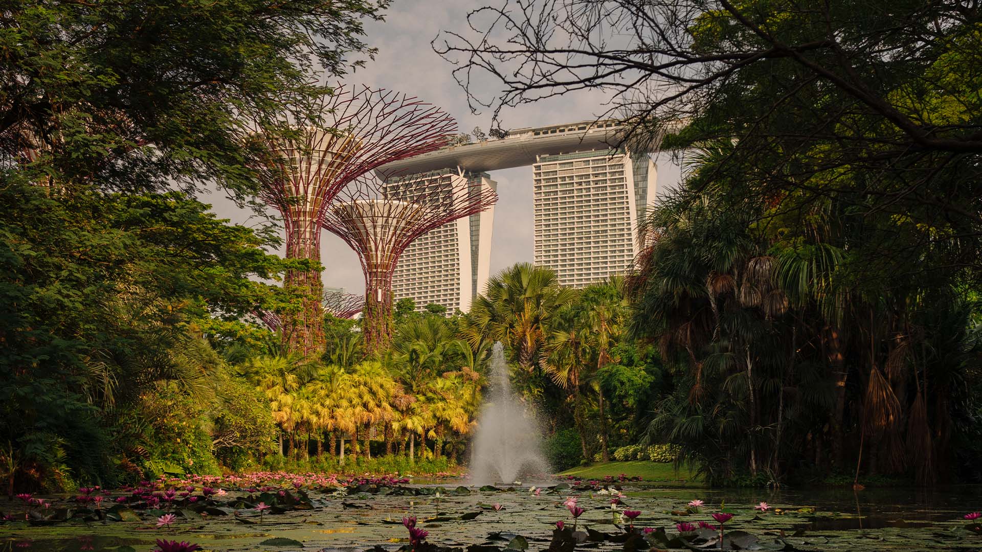 シンガポールの観光行程に加えるべきマリーナベイ・サンズとガーデンズ・バイ・ザ・ベイのスーパーツリーの建築