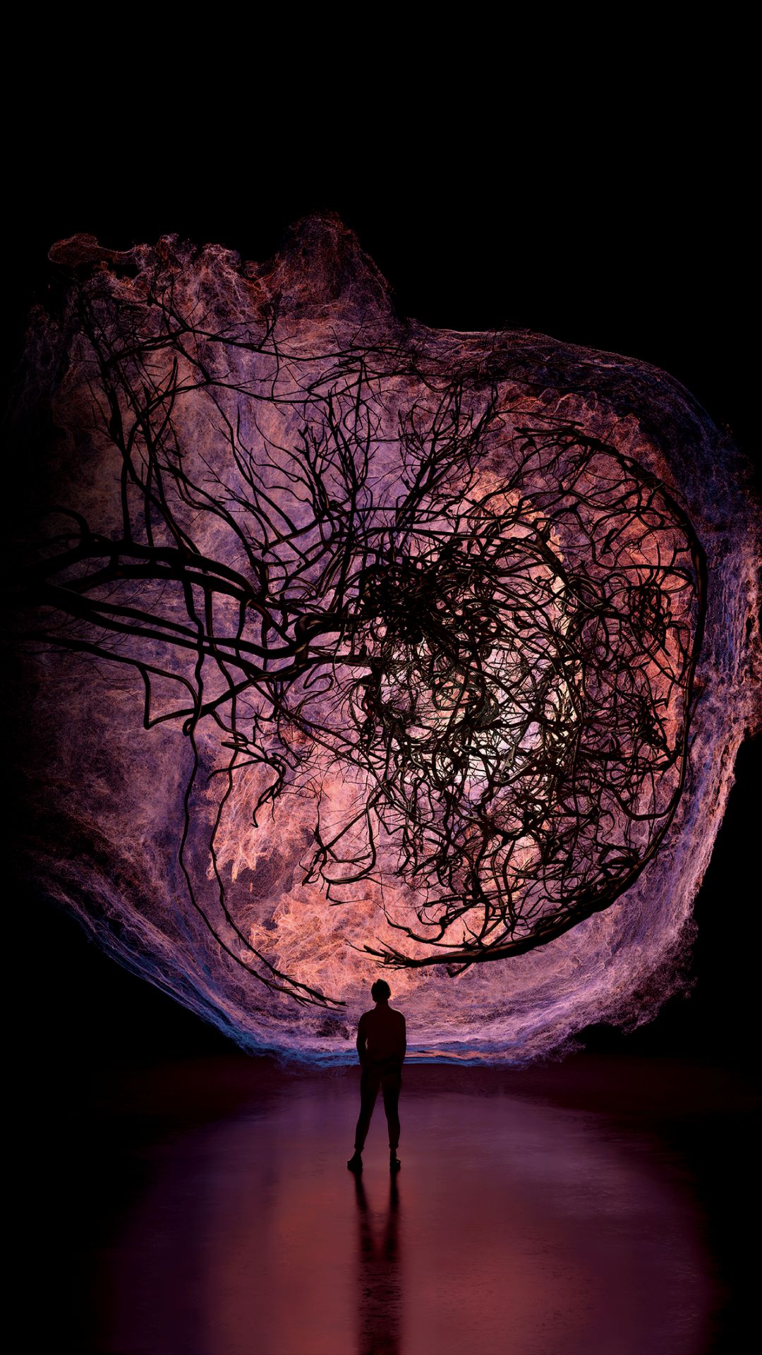 Flesh & Bones: The Art Of Anatomy