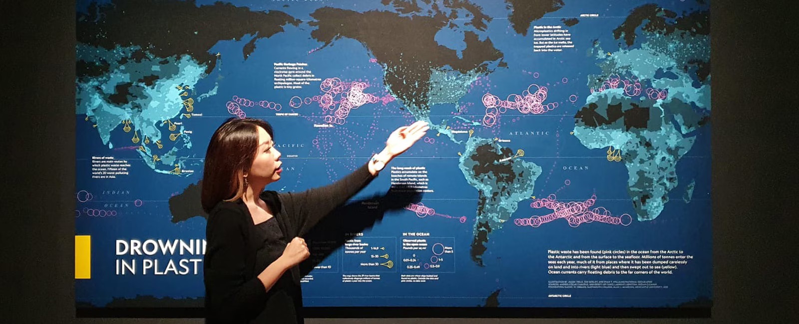 ArtScience at School