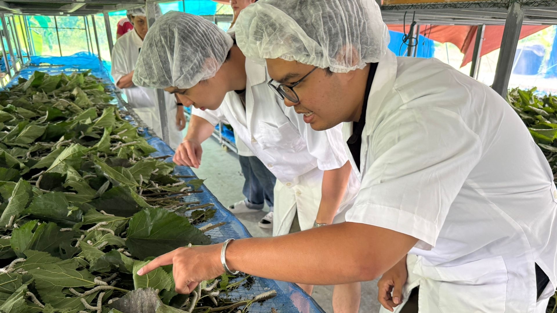 Entomophagy 360°: Eating for a Planet in Transition with Altimate Nutrition