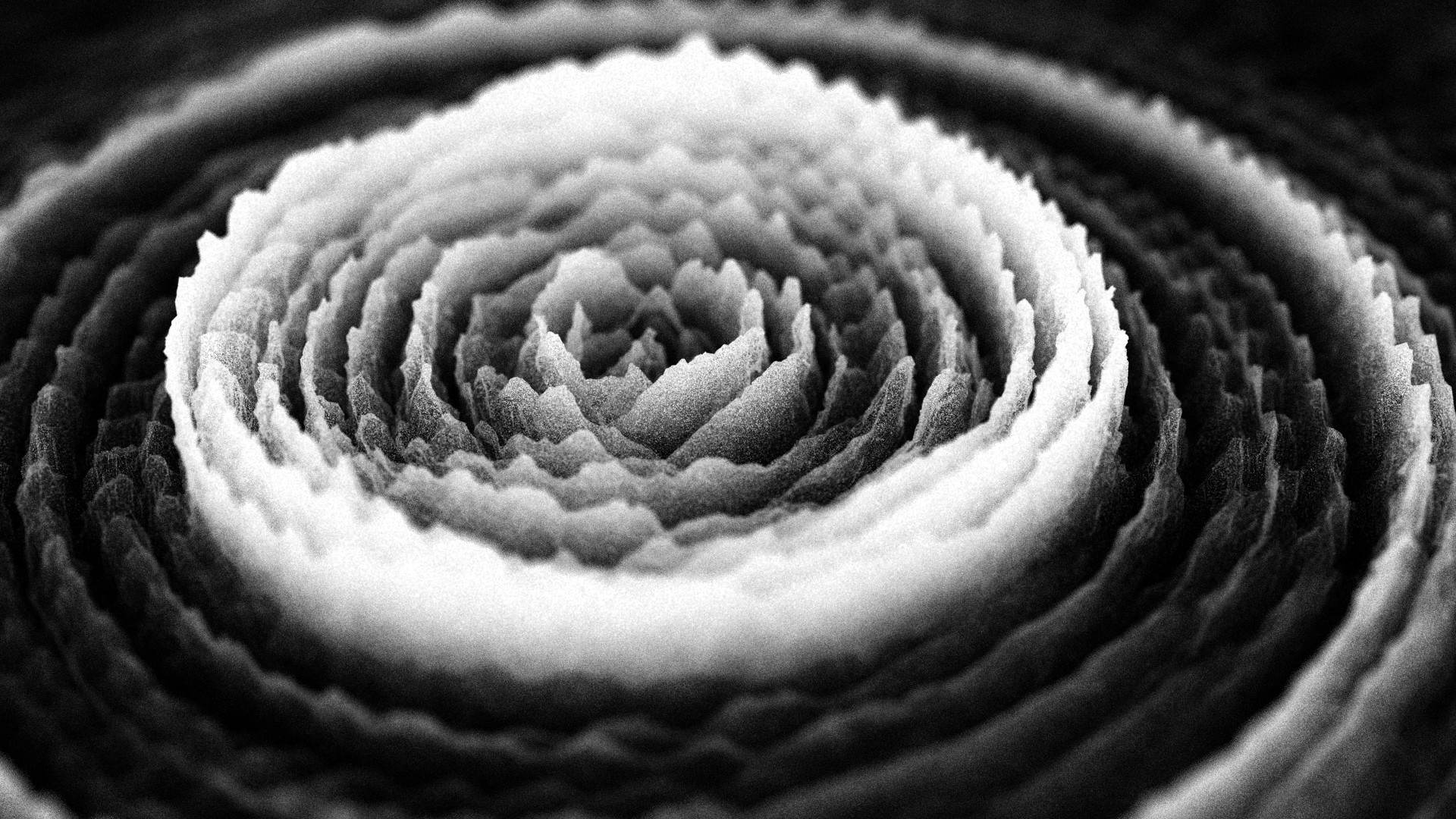 20Hz (2011), a Semiconductor work by Ruth Jarman and Joe Gerhardt | 5min