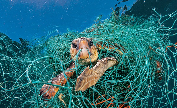 第2章: プラスチックの闇