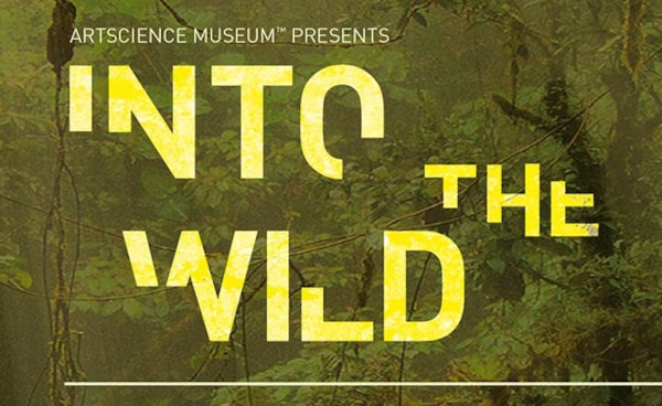 Into the Wild: An Immersive Virtual Adventure