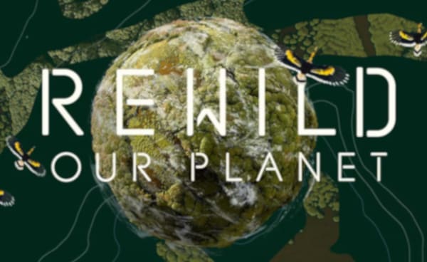 REWILD Our Planet 