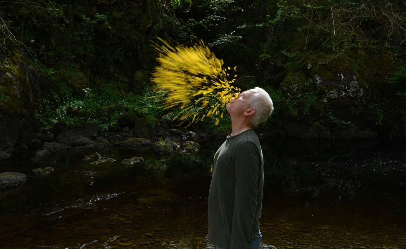 『Leaning into the Wind: Andy Goldsworthy』(2017)