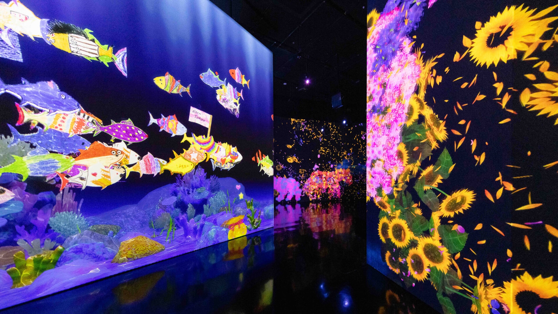 アートサイエンスミュージアムのFUTURE WORLD