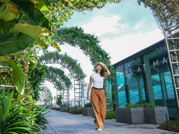 サステナブルな食品