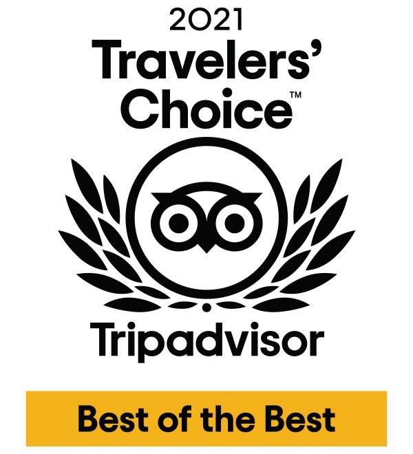 Traveller’s Choice Awards logo
