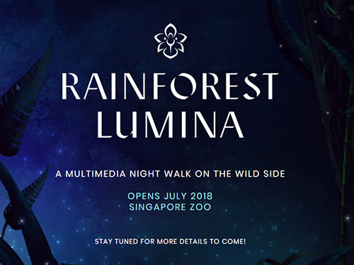 Night Safari Rainforest Lumina