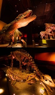 アートサイエンスミュージアムの「恐竜:出現から絶滅まで」展