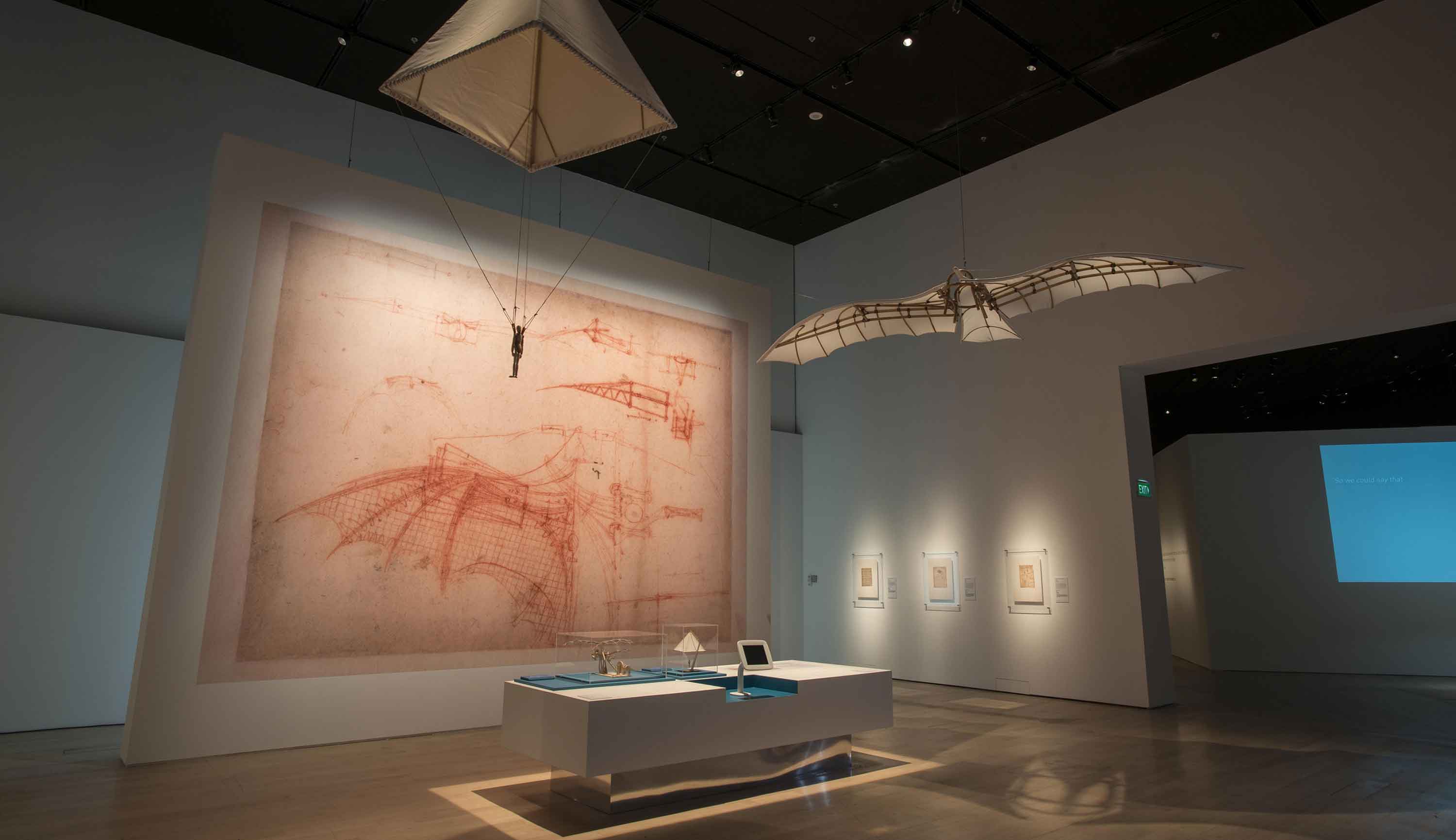 ダ・ヴィンチの自然科学展示のギャラリー画像