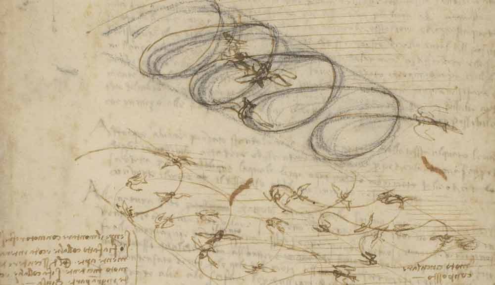 鳥の飛翔に関する研究（1505年 レオナルド・ダ・ヴィンチ『アトランティコ手稿』第845紙葉表）