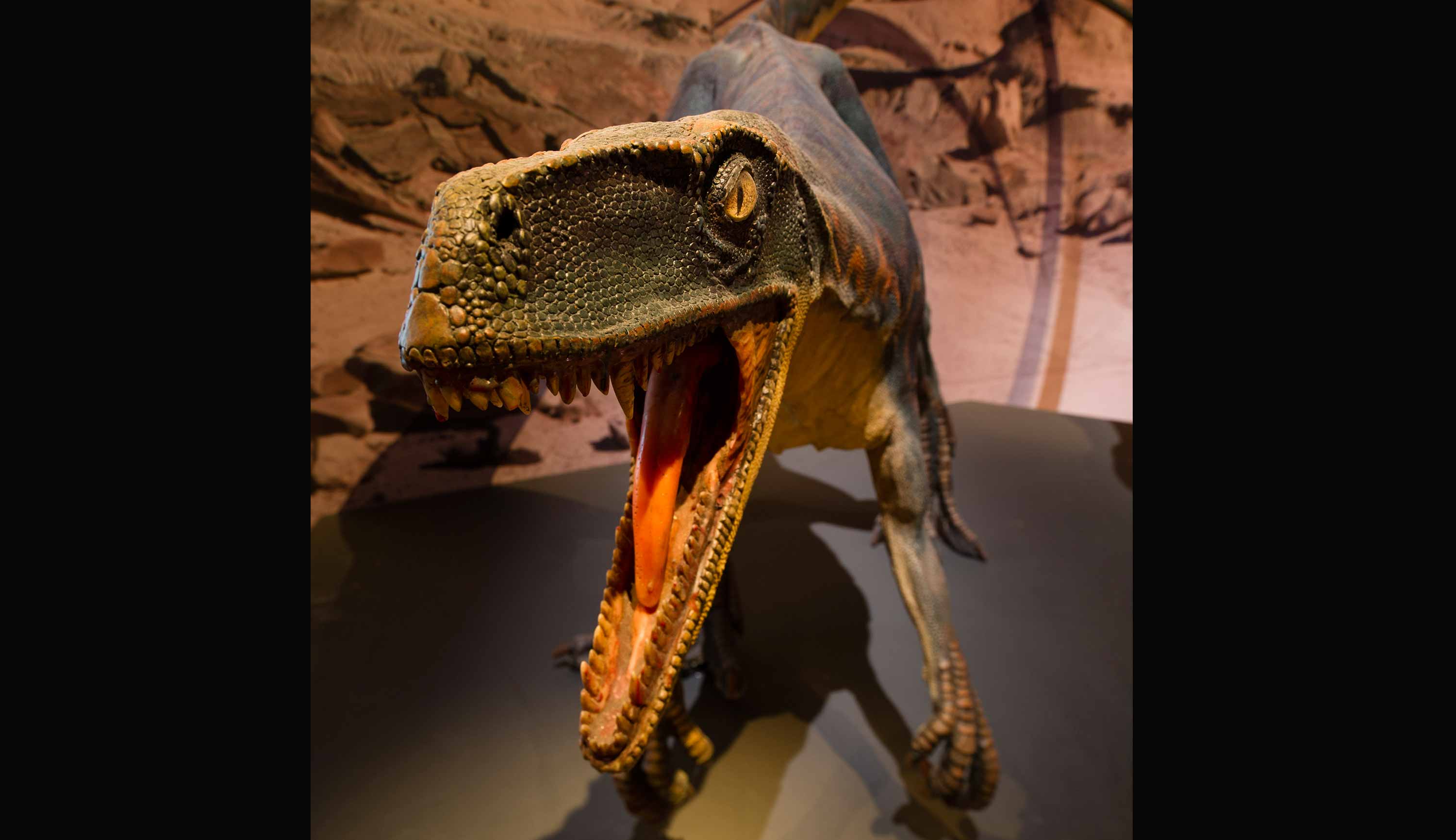 「恐竜: 出現から絶滅まで」展