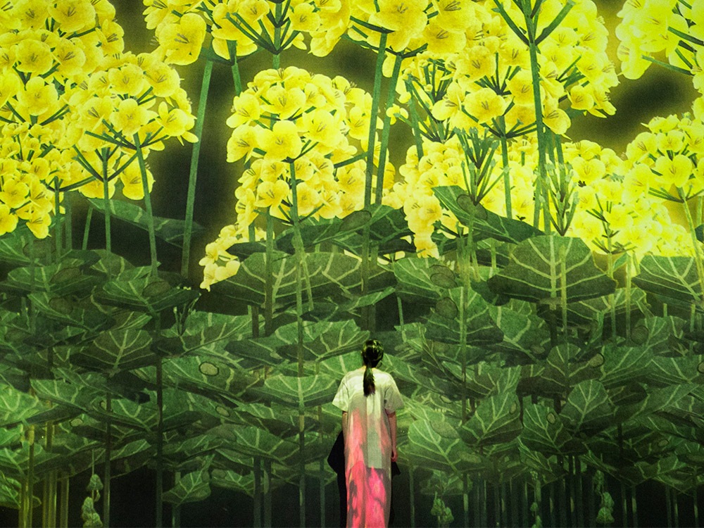 FUTURE WORLD: アートとサイエンスが出会う場所