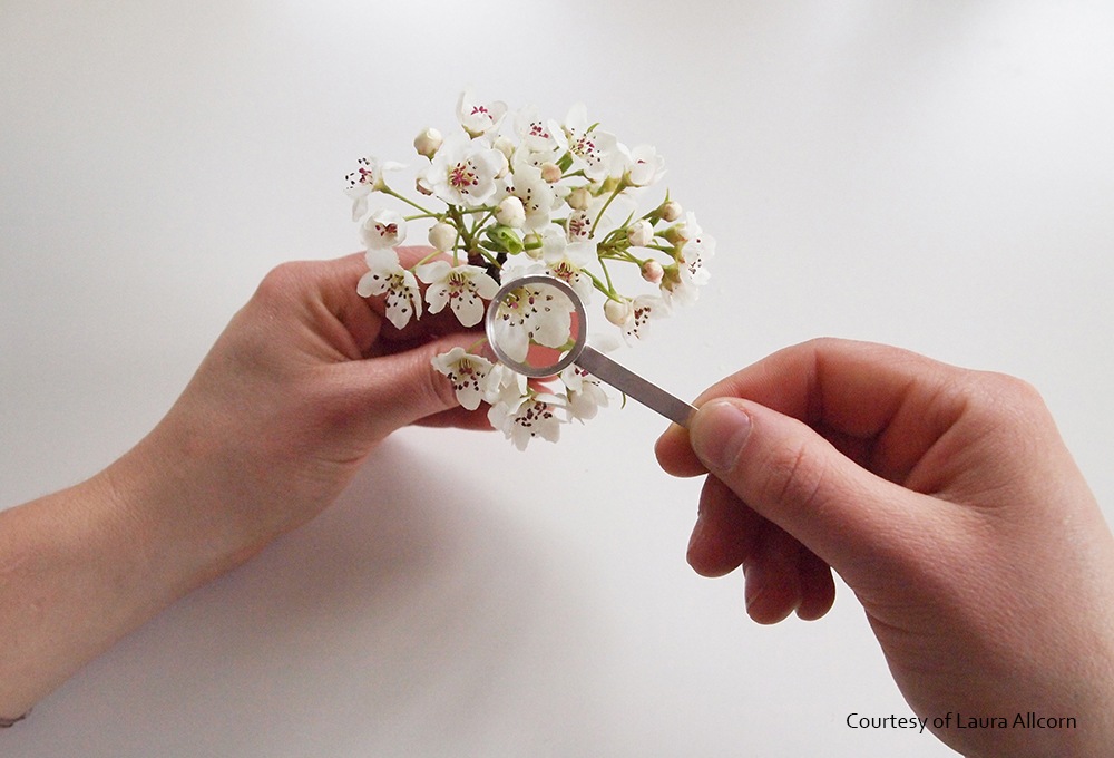 The Human Pollination Project