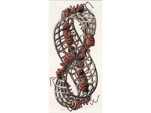 M.C.エッシャー、「Mobius Strip II(メビウスの帯II」)(「Ants(蟻)」とも言う)