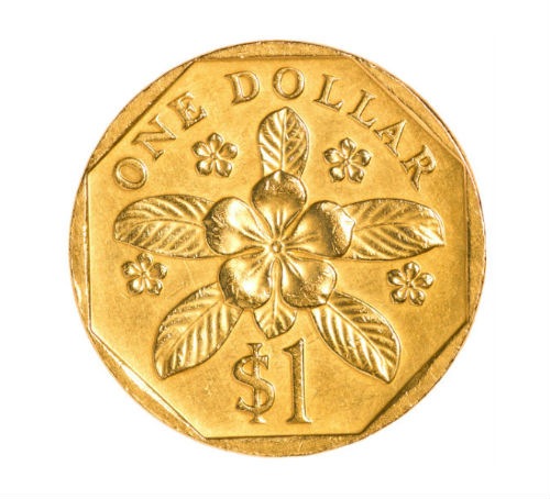 Singapore Coin