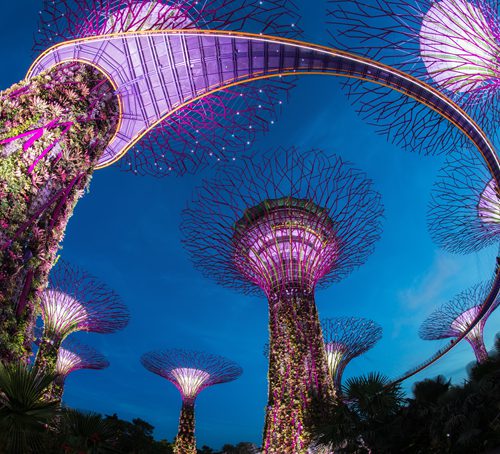 Garden by the Bay at Night - Supertrees
