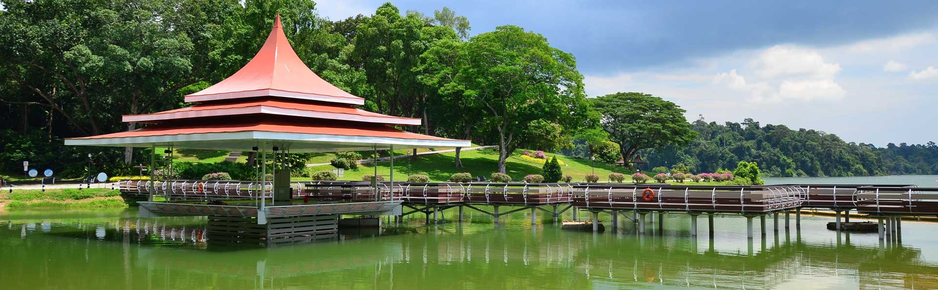 シンガポールの貯水池 自然とアウトドア シンガポール観光ガイド