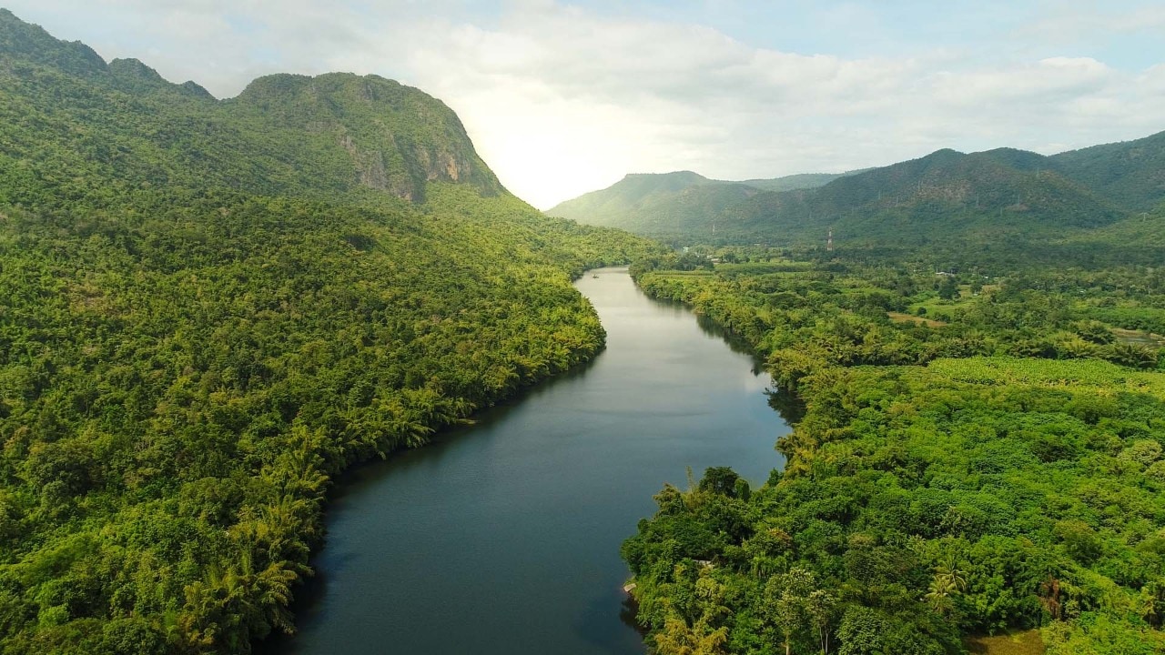 Rainforest in Southeast Asia
